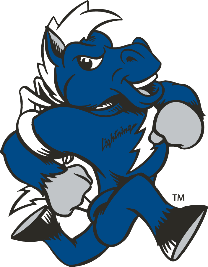 Middle Tennessee Blue Raiders 1998-2015 Mascot Logo diy DTF decal sticker